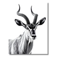 Antílope Elegante – Cuadro Animal Blanco y Negro de Estética Natural