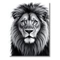 León Majestuoso – Cuadro Animal Blanco y Negro para Ambientes de Carácter