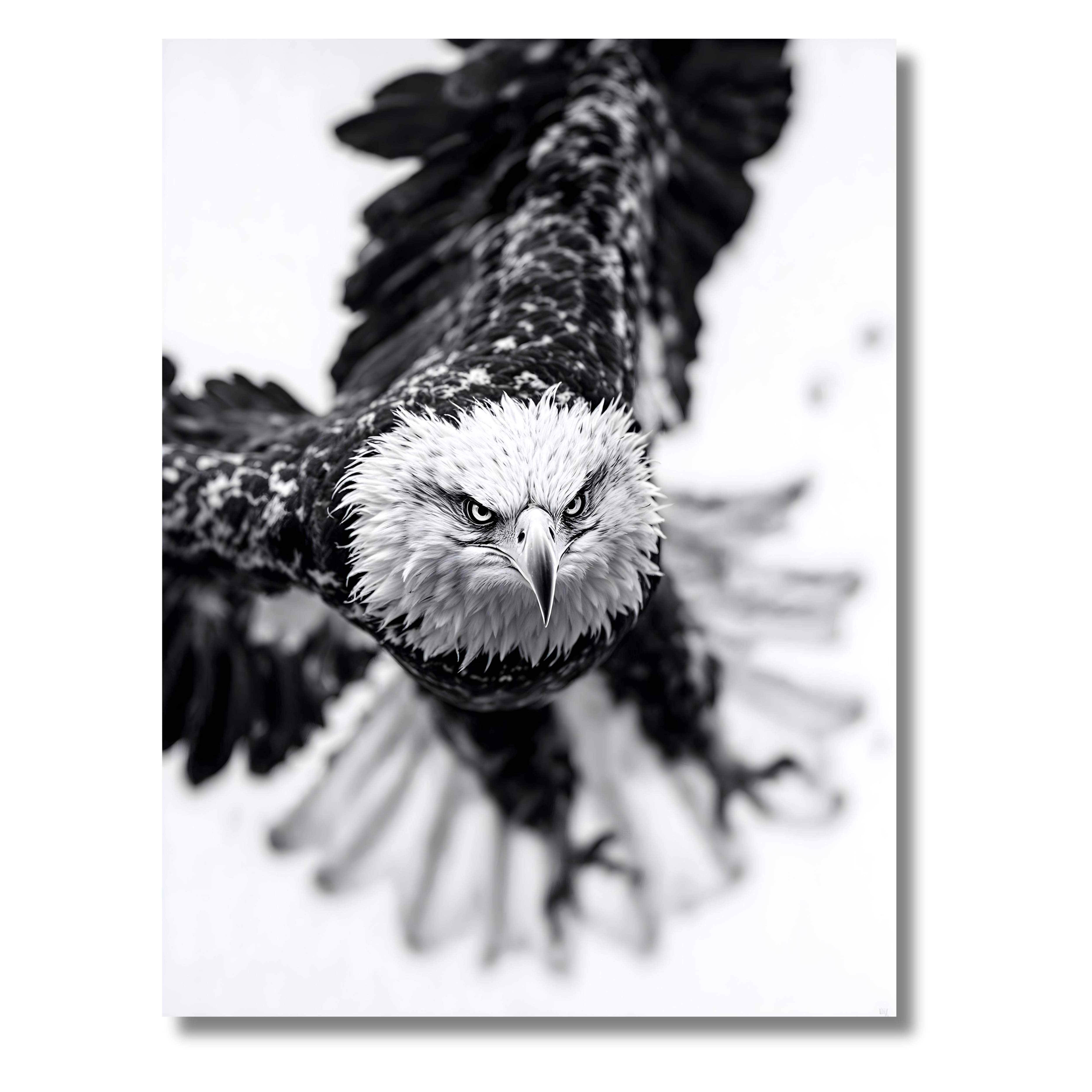 Águila en Vuelo – Cuadro Animal Blanco y Negro con Estilo Libre y Elegante