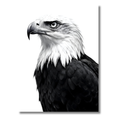 Águila Imponente – Cuadro Animal Blanco y Negro para Decoración Sofisticada