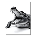 Cocodrilo Intenso – Cuadro Animal Blanco y Negro con Mirada Salvaje