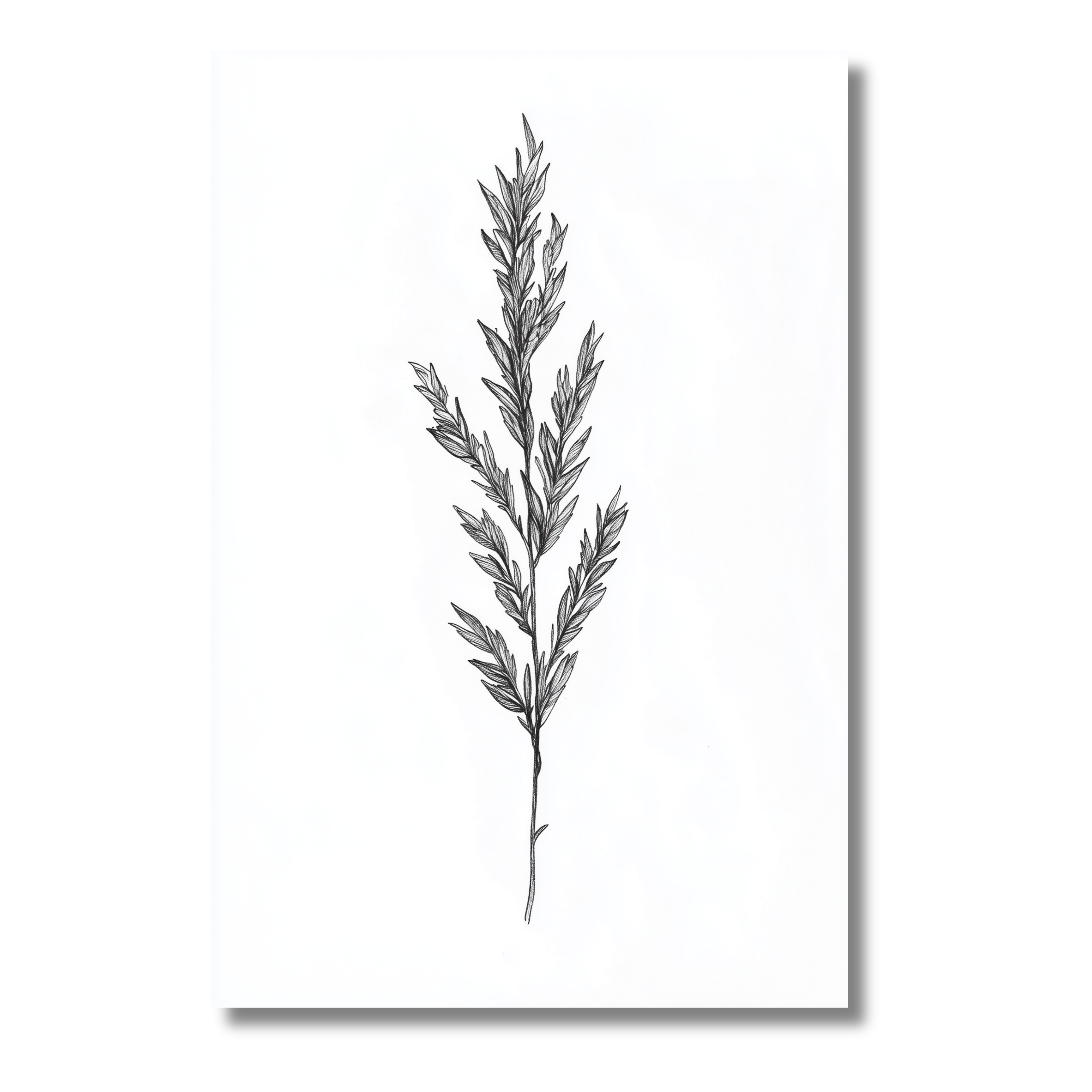 Póster Minimalista de Espiga Silvestre – Arte Natural para Descarga