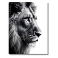 León en Perfil – Cuadro Animal Blanco y Negro de Expresión Poderosa