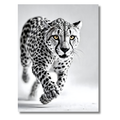 Guepardo en Acción – Cuadro Animal Blanco y Negro para Ambientes Dinámicos